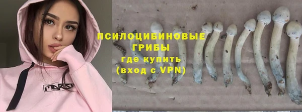 прущие грибы Козельск