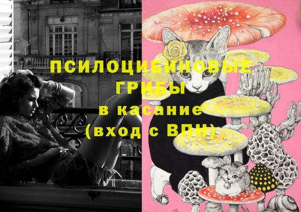 круглые Алексин